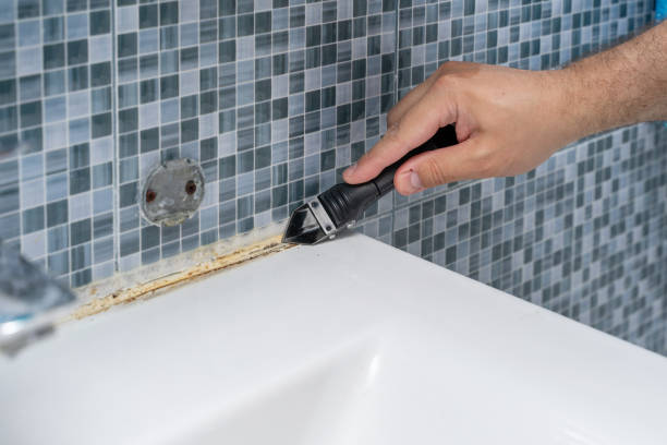 Best Basement Mold Remediation in Russell, KS